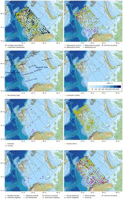 Long-term annual trawl data show shifts in cephalopod community in the western Barents sea during 18 years